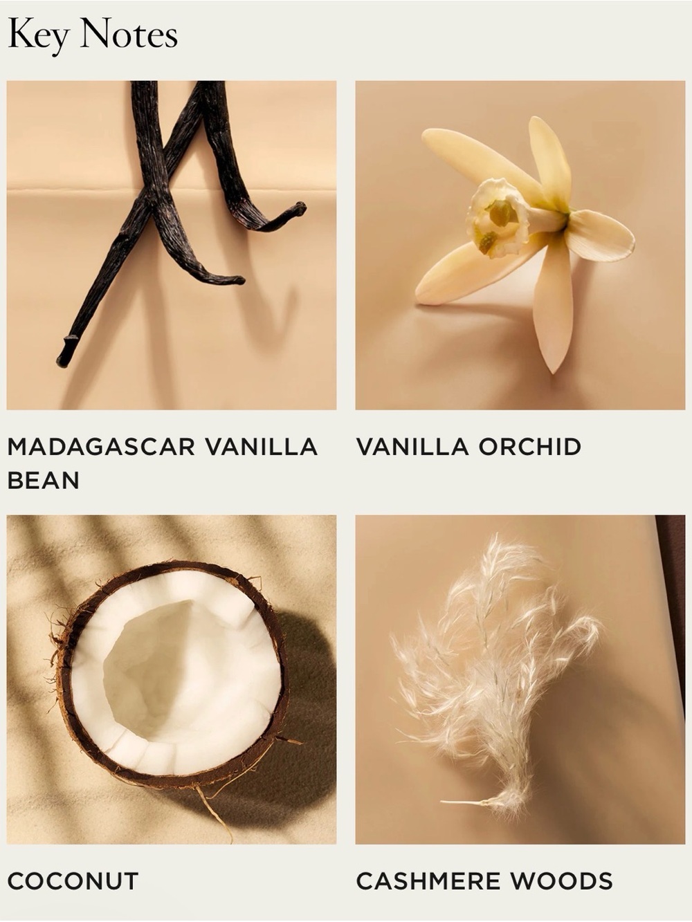 NEST Madagascar Vanilla Perfume Oil - Picture 6 of 6